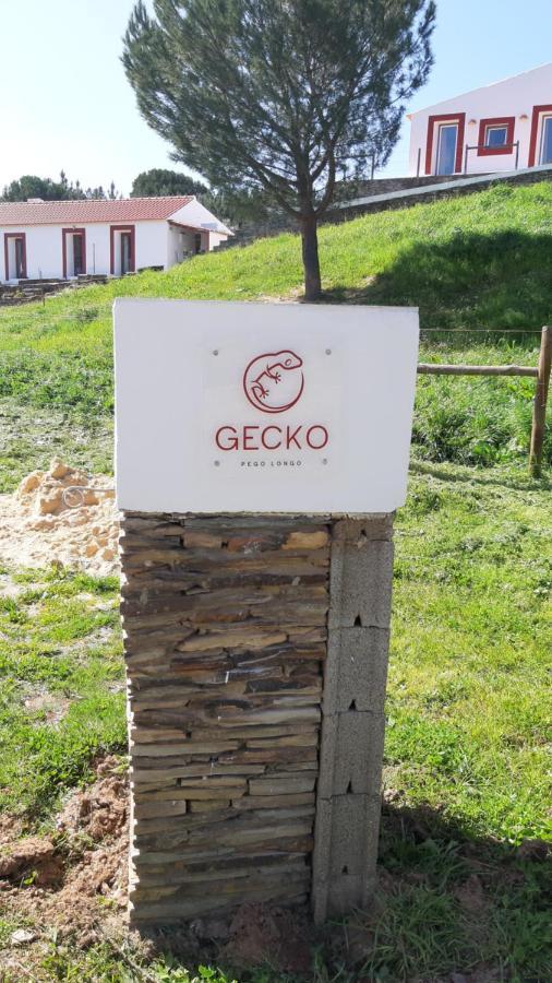 Gecko Pego Longo Villa São Luis Exterior foto